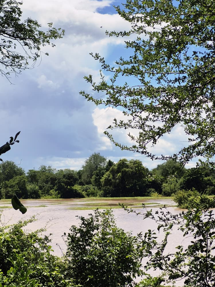 whatsapp image 2026 03 25 at 12.39.40 whatsapp image 2026 03 25 at 12.39.40