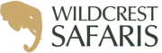 color logo no background